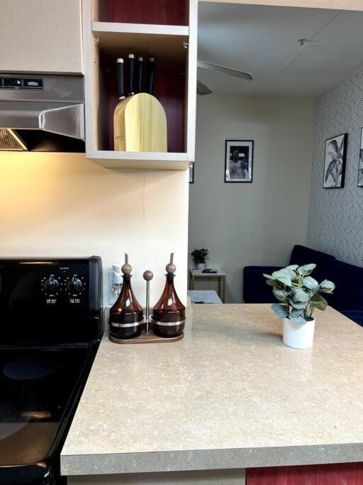 Midtown Flat Near Overton Park & Downtown 멤피스 외부 사진